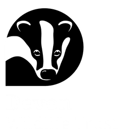 DWT Logo